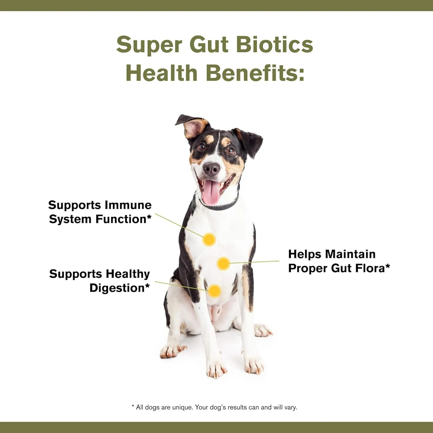 Badlands Ranch Super Gut Biotics Canine Health Supplement, 3.17-oz