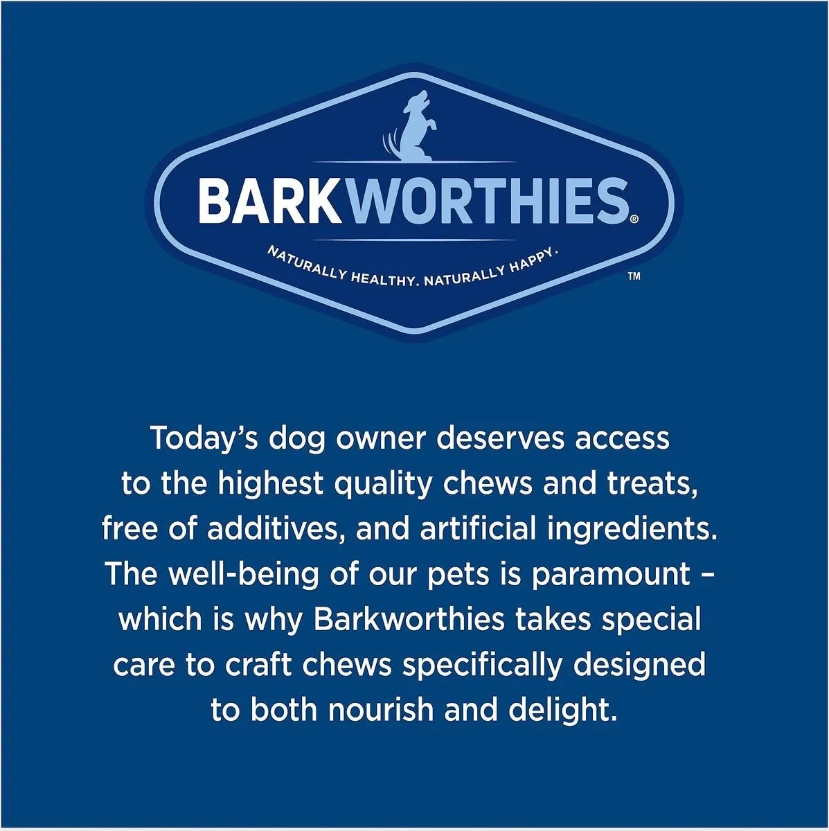 Barkworthies 10 Pack Lil Barker Beef Sticks For Dogs