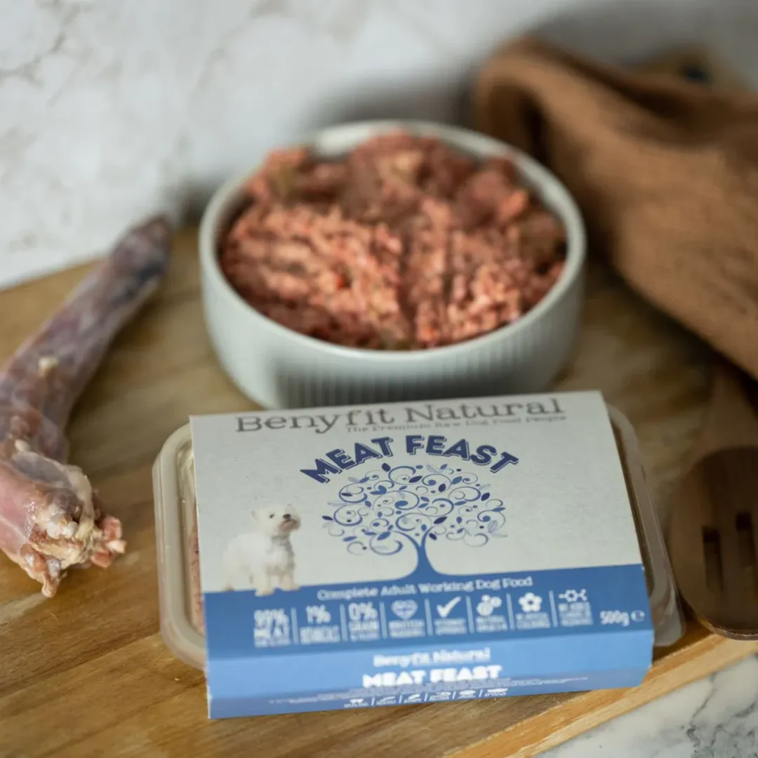 Benyfit Natural Raw Meat Feast 500g