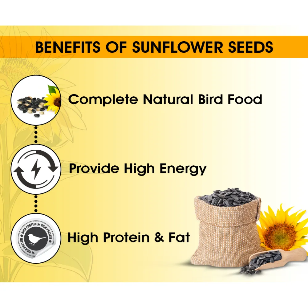 Boltz Striped Sunflower Seeds Bird Food (Limited Shelf Life)