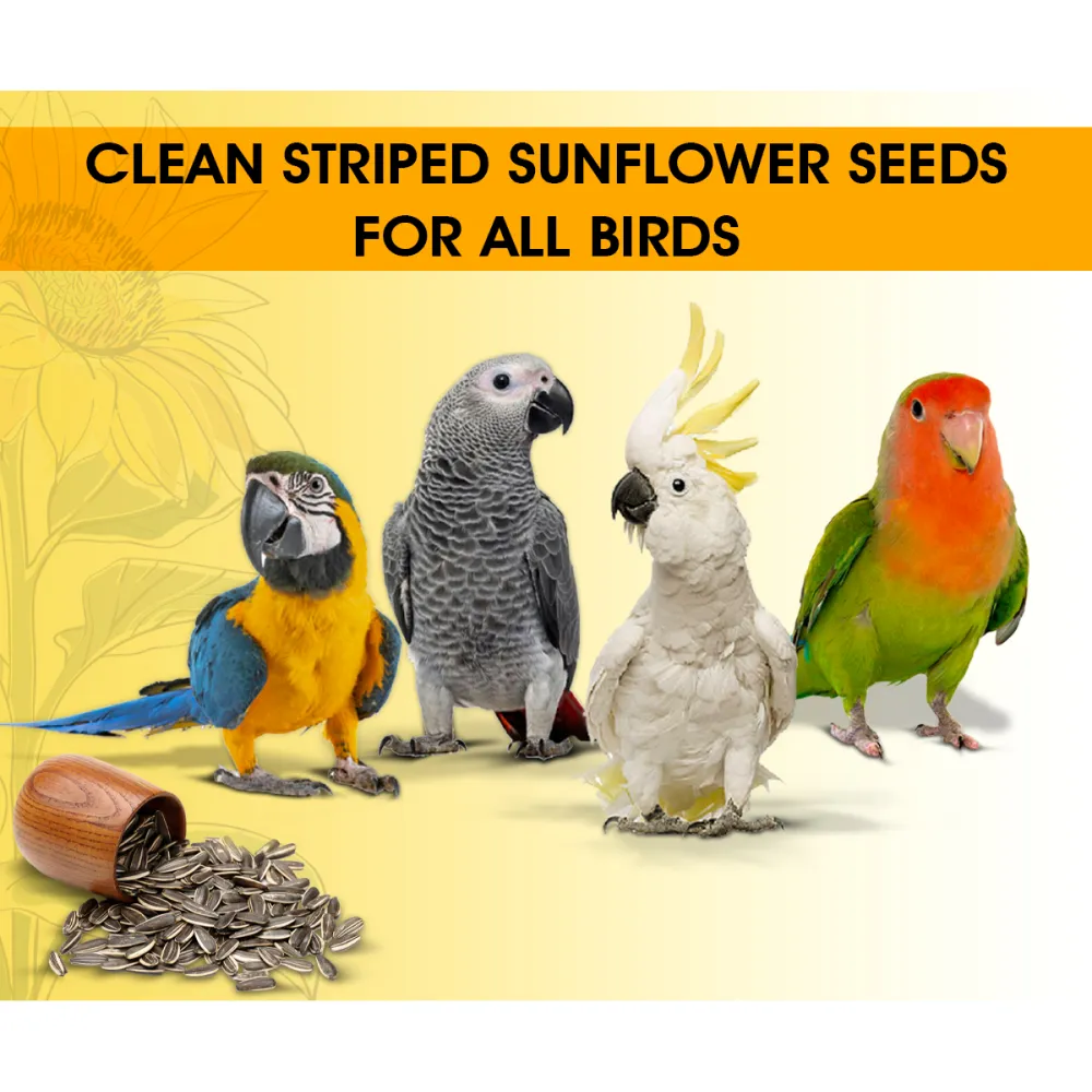 Boltz Striped Sunflower Seeds Bird Food (Limited Shelf Life)