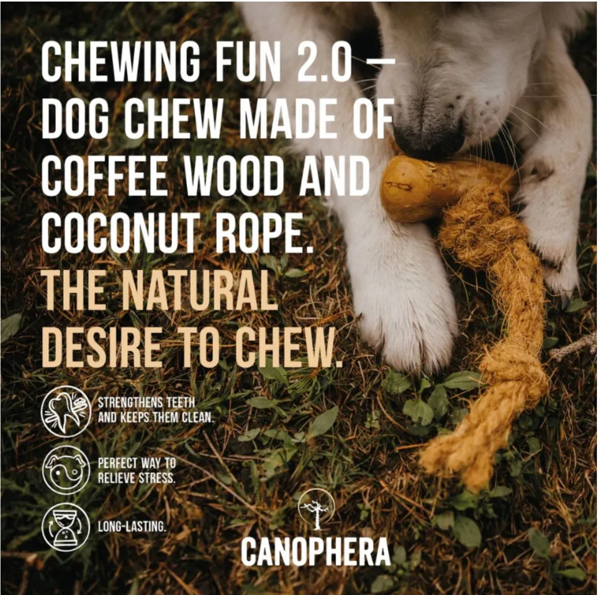 Canophera- Dog Chew Stick, Coffee Tree Wood with Coconut Rope, S