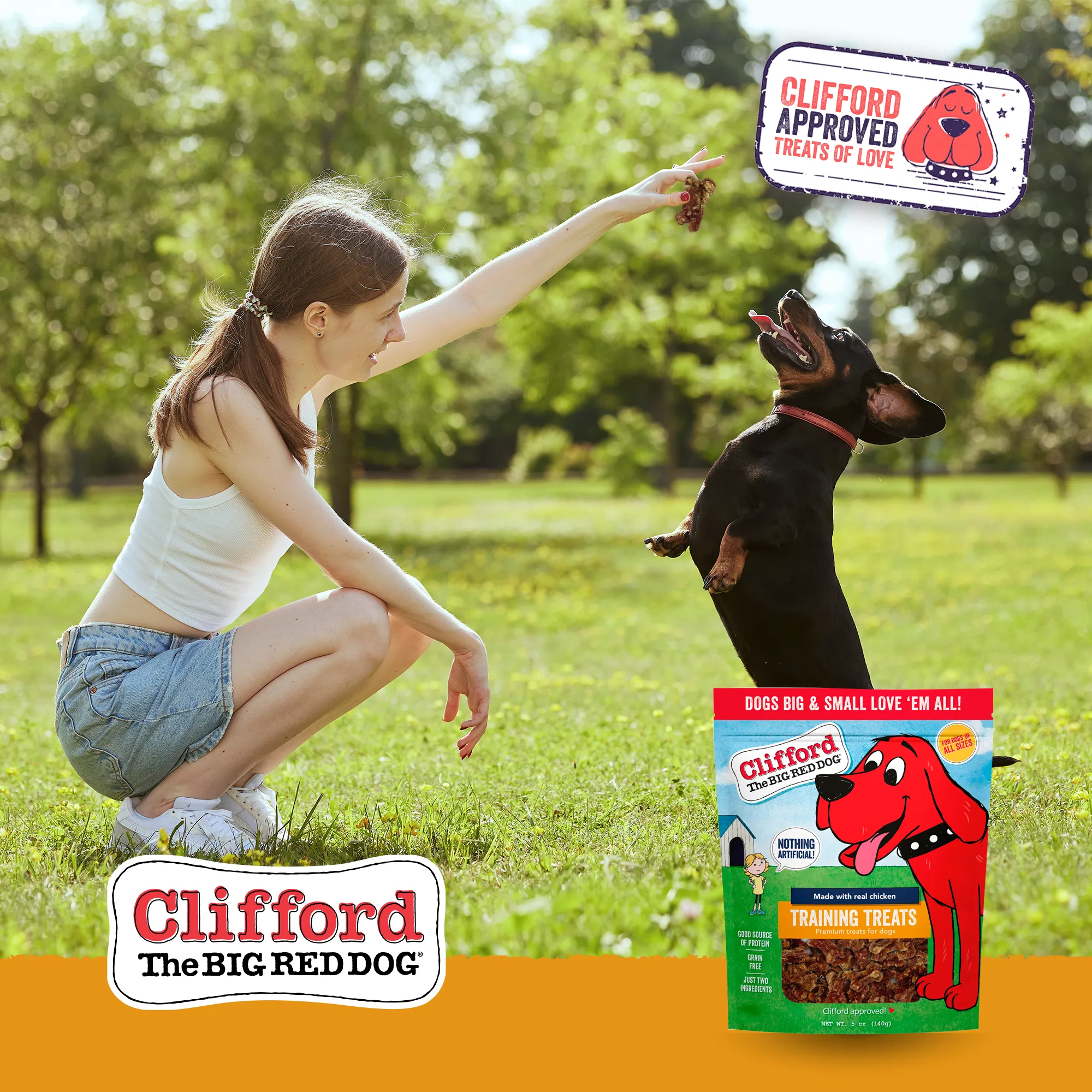 Clifford® Chicken Training Treats 20 oz