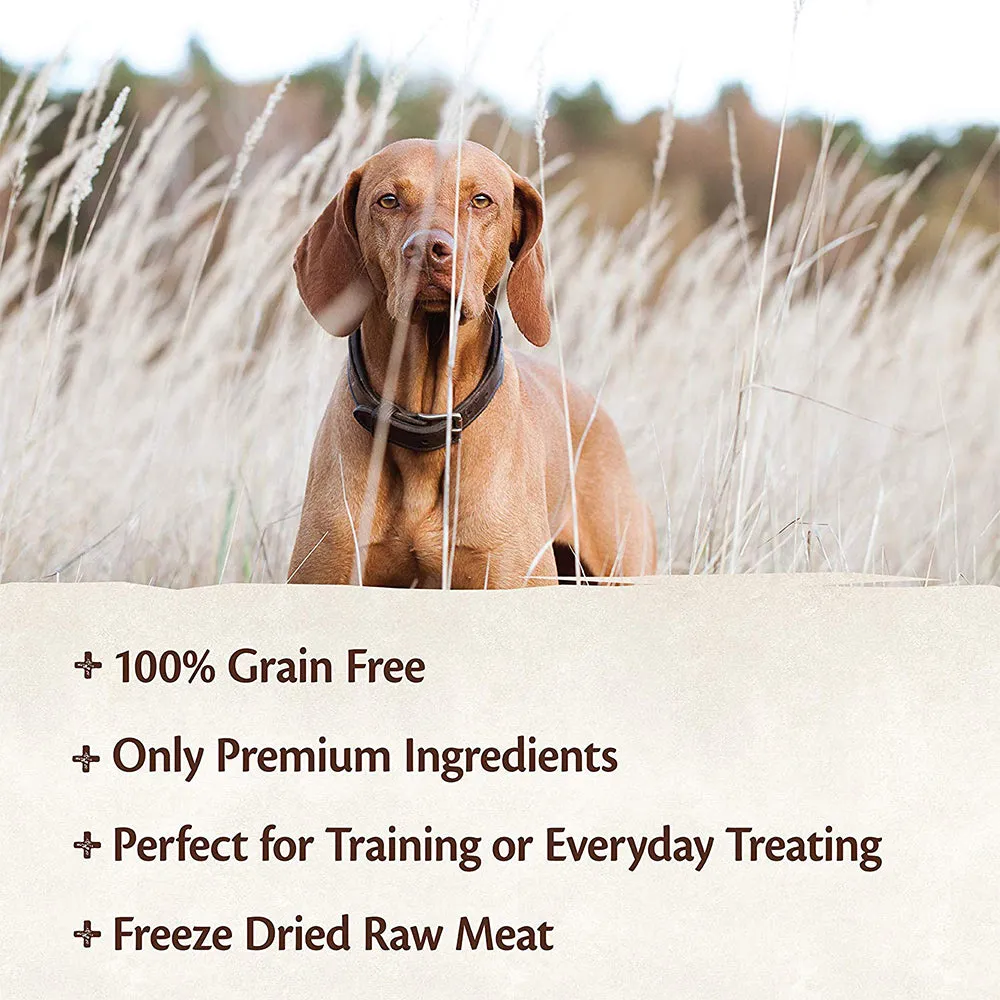 CORE 100% Turkey Freeze-Dried Raw Treats, 2oz bag