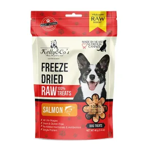 Freeze Dried Norwegian Salmon Dog Treats