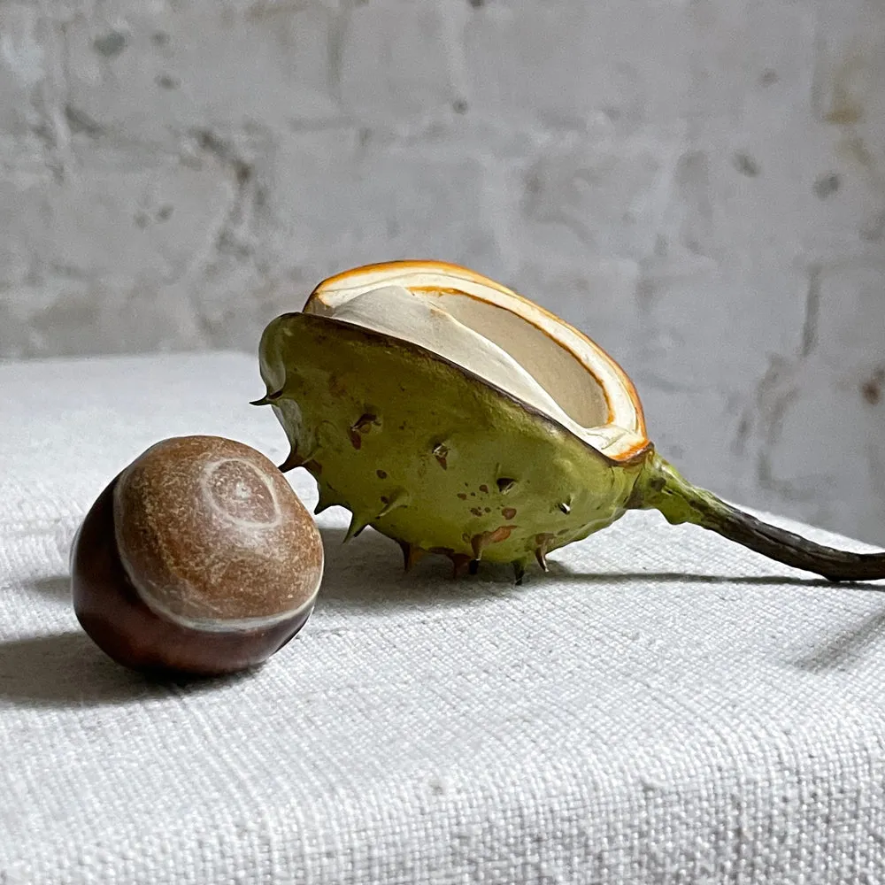 Half Shell Porcelain Horse Chestnut