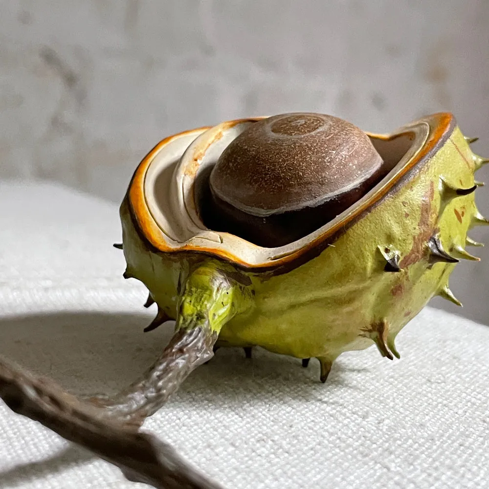 Half Shell Porcelain Horse Chestnut