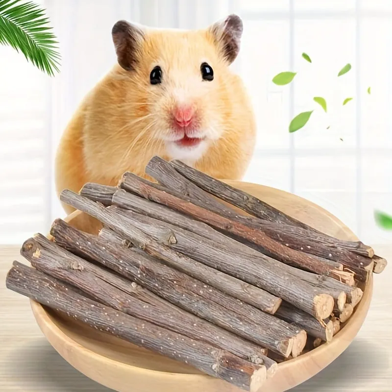 Natural Chews for Small Pets The Perfect Snacks and Toys