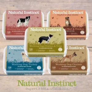 Natural Instinct Working Dog Completes (2x500g)