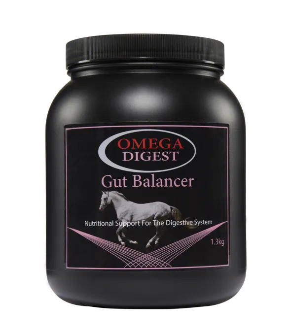 Omega Equine Digest - Gut Balancer