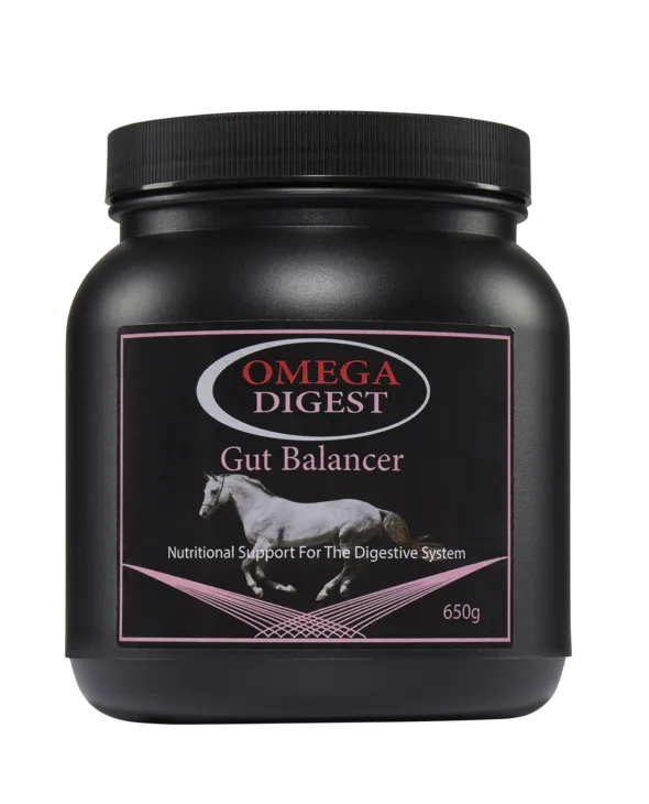 Omega Equine Digest - Gut Balancer