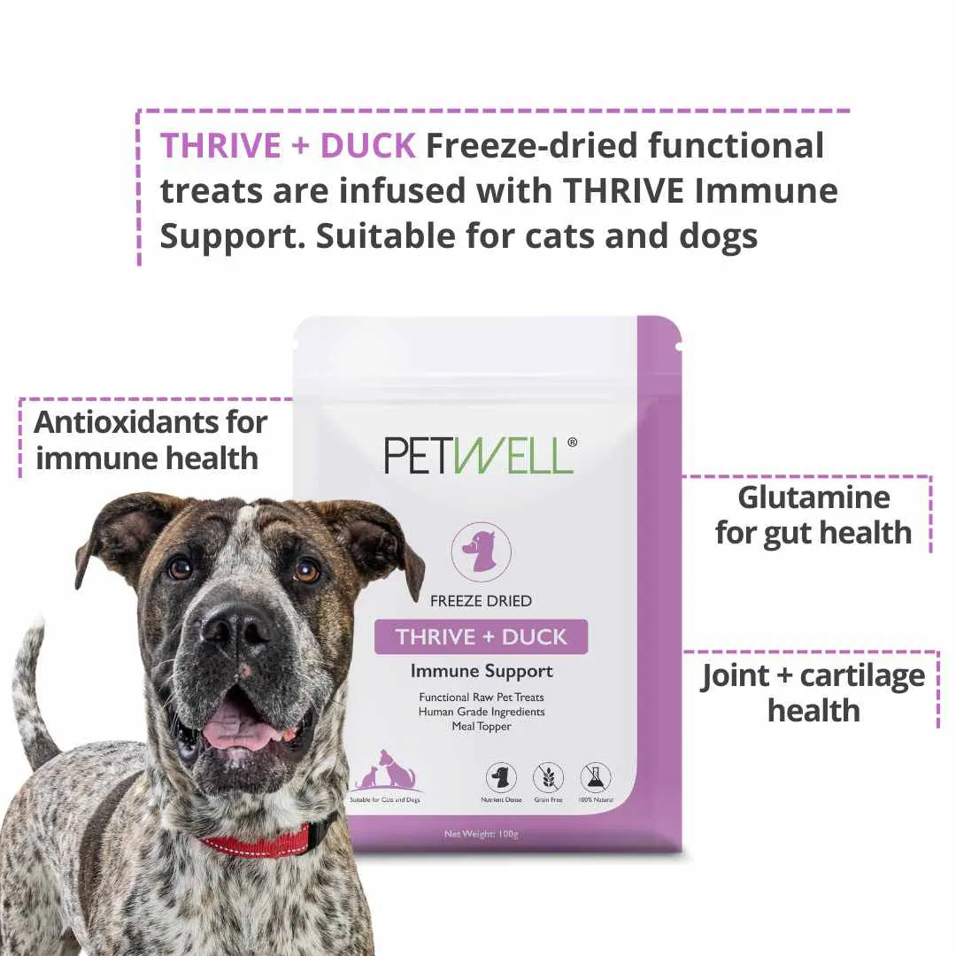 PetWell THRIVE - Immune Support Supplement   Treat Pack