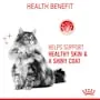 Royal Canin Cat Hair and Skin Care Jelly Adult Wet Food Pouches 85g x 12^^^