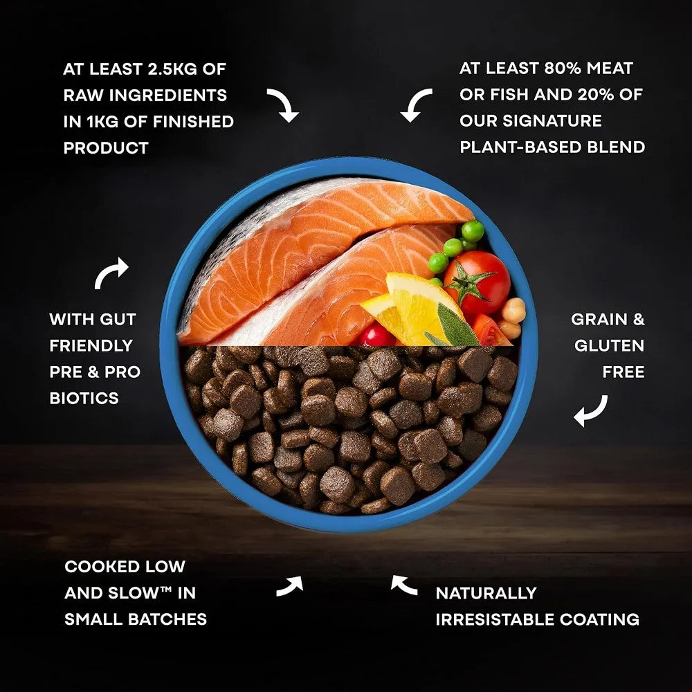 Salmon Dog Dry Food