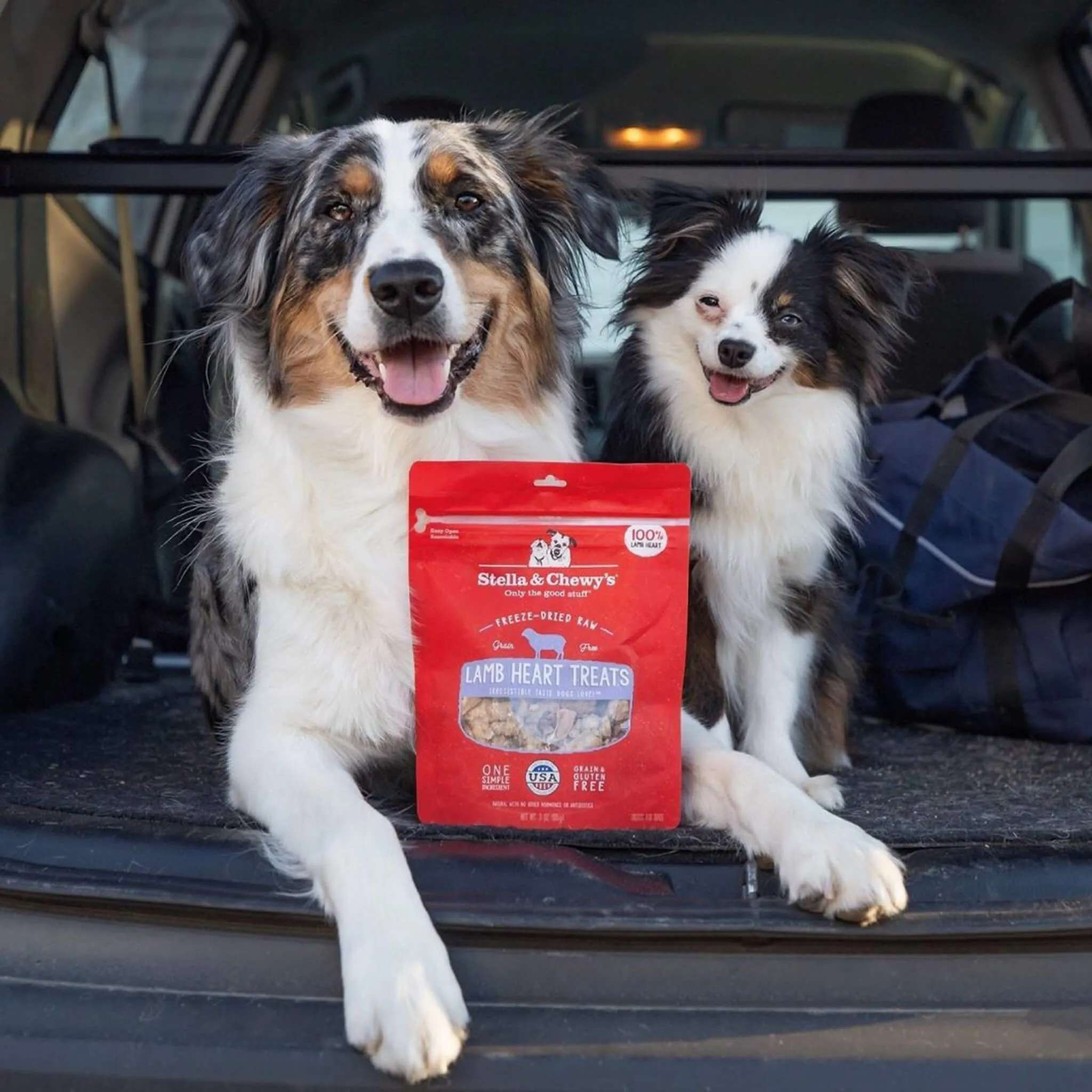 Stella & Chewy's Freeze-Dried Raw Single Ingredient Treats