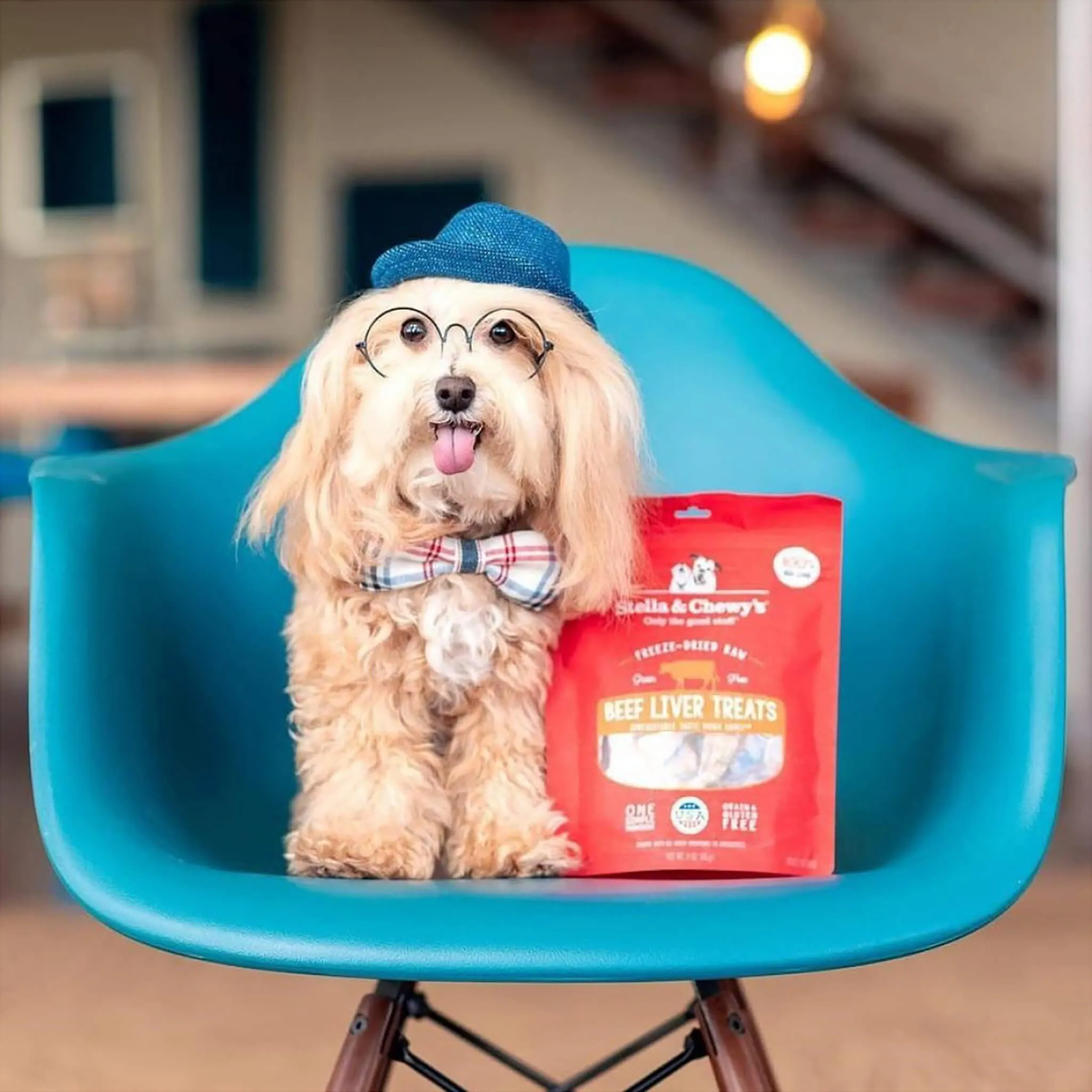 Stella & Chewy's Freeze-Dried Raw Single Ingredient Treats