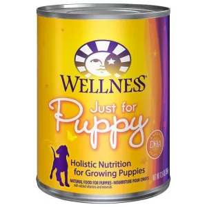 Wellness Dog Puppy 12.5oz