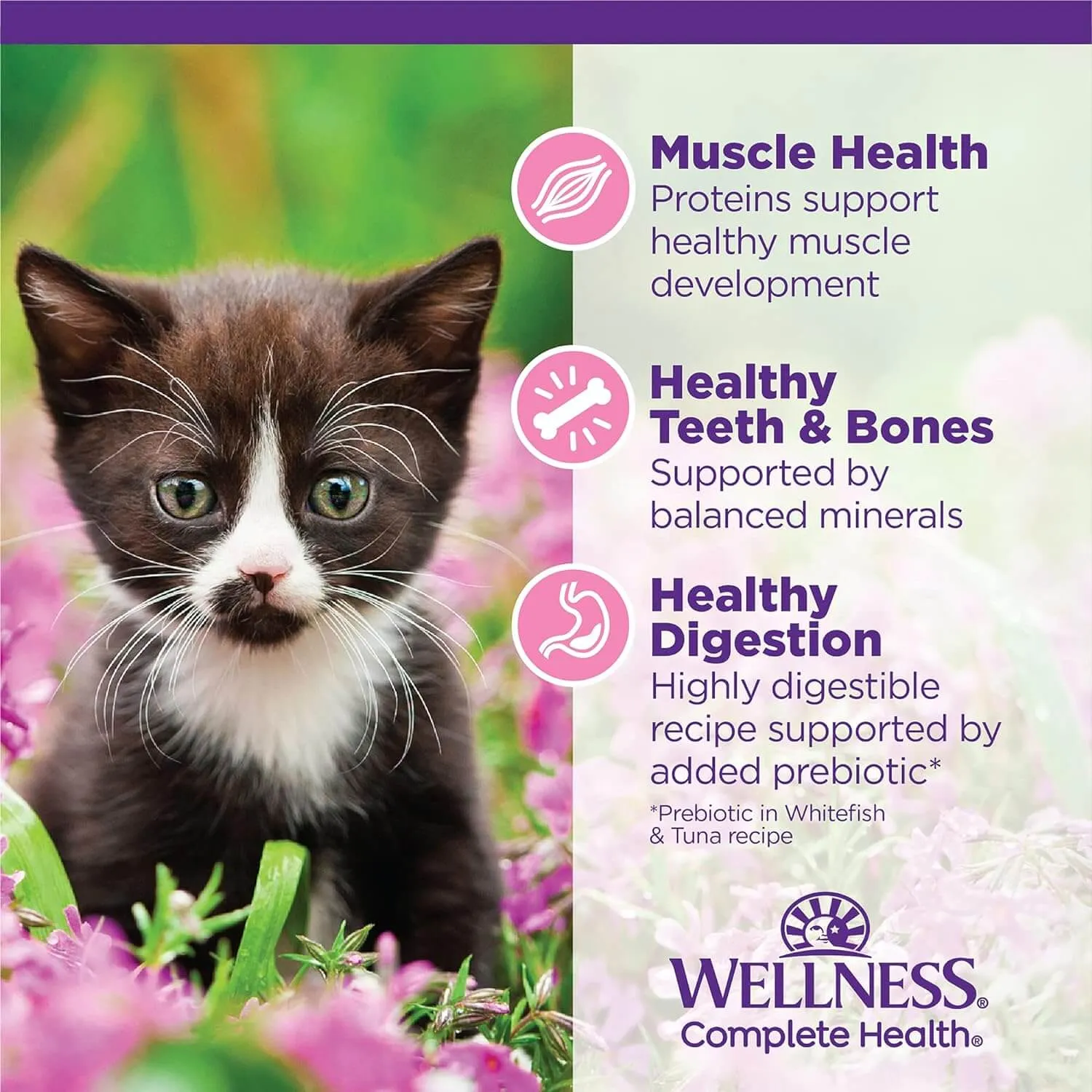 Wellness Grain-Free Canned Kitten Food