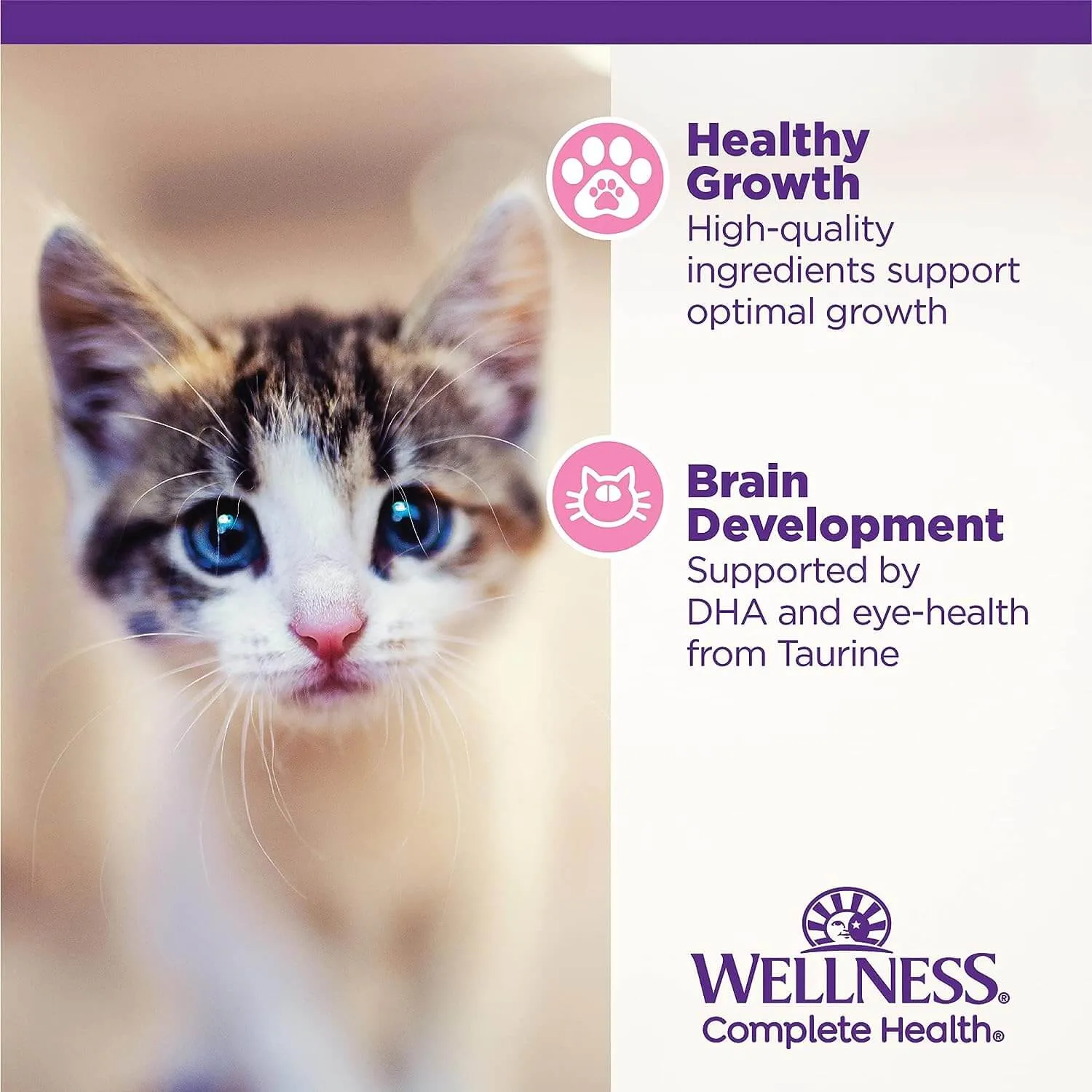 Wellness Grain-Free Canned Kitten Food